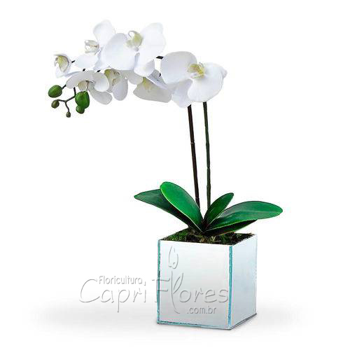 ♥ PROMOÇÃOOO!!  Vaso de Orquídea Branca